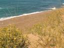 Nice coastline along the entire length of Peninsula Valdes and its two bays.